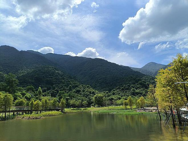 李玟墓地杂草丛生现象引发的思考